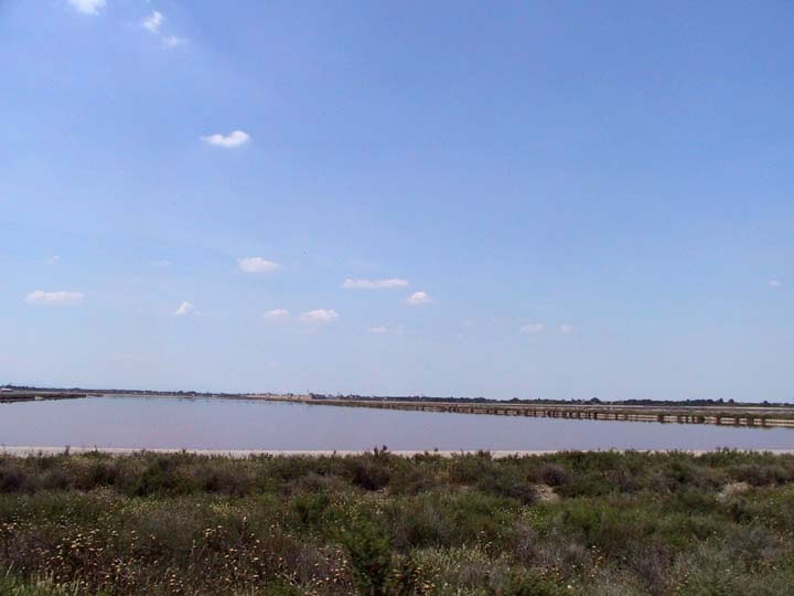 Un Marais salant et sa couleur rougetre